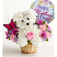 191546b